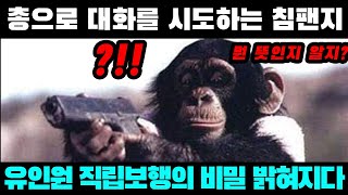 왜 자연은 어떤 한 종류의 유인원을 두 발로 걷게 만들었을까요?