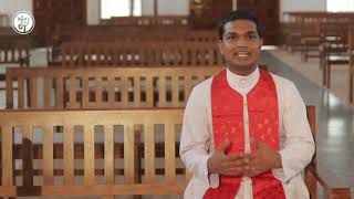 ലൂക്കാ  2 :41-51 Bible reflection Day 79 Fr.John Joseph Thyaparambil