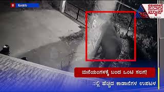 ಮನೆಯಂಗಳಕ್ಕೆ ಬಂದ ಒಂಟಿ ಸಲಗ, ಗಿಡಗಳನ್ನು ತಿಂದು ಹೋದ ಗಜರಾಜ, ಸ್ಥಳೀಯರಲ್ಲಿ ಆತಂಕ  | Elephant Menace In Kodagu