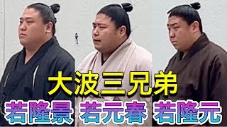 大波３兄弟 - 若元春 若隆景 若隆元 《兄弟力士シリーズ》【大相撲令和7年1月場所】 初場所 [JAN 2025] ONAMI 3 BROTHERS - Wakamotoharu Wakatakak