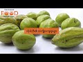 food guide benefit of myrobalan fruit