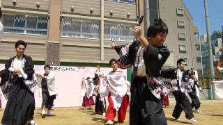 大宮同心桜連　2012さくよさ　御池中学校会場