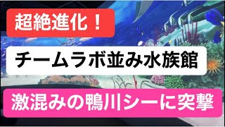 【子育て動画】進化系水族館！チームラボ並のデジタル技術で子どもも大人も楽しい激混みの鴨川シーワールドにGO!