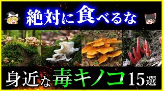 【ゆっくり解説】絶対に食べるな！身近にある危険な「毒キノコ」15選を解説