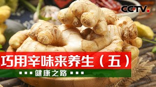 薤白、生姜、鱼腥草 如何正确应用三种辛味根茎？20230503 巧用辛味来养生（五）|《健康之路》CCTV科教