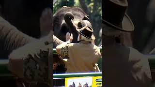 Narendra Modi visit to Bandipur \u0026 Mudumalai reserves Have a look! | Wildlife | PM Modi New Look