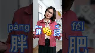 胖(pàng) vs 肥(féi) - Say Fat in Chinese Correctly