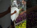 fresh brinjal in market