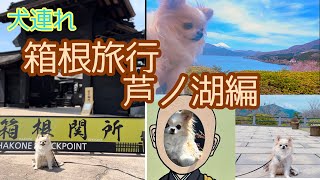 【犬連れ　箱根旅行】　芦ノ湖編