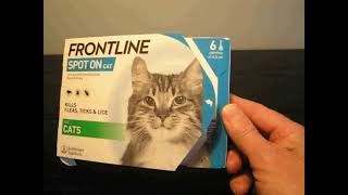 Frontline Spot-On Cat FAIL! Flea treatment probable fake