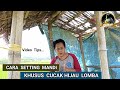 Cara Setting Mandi Khusus Cucak Hijau Lomba