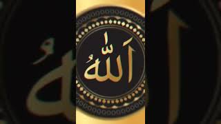 Islamic video #allah #islamicvideo #islamicshorts #trending #islamic #viralvideo #shortfeed #shorts