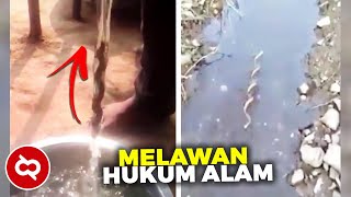 Akar Ajaib Tanaman Hutan Himalaya! Mampu Melawan Gravitasi dan Memanjat Aliran Air..