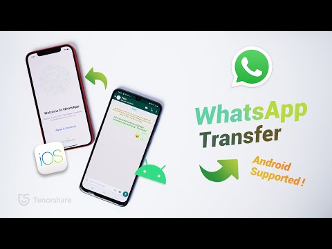 The EASIEST Way to Transfer WhatsApp from Android to iPhone [2020 Update]