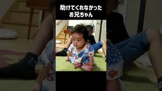 助けてくれなかったお兄ちゃん #shorts