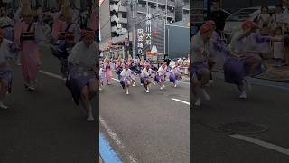 神奈川大和阿波踊り2024「横浜嬉咲連」