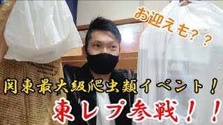 関東最大級爬虫類イベント！東レプに行ってきました！！【東レプ】【爬虫類イベント】【東京レプタイルズワールド】【ボールパイソン】【お迎え】