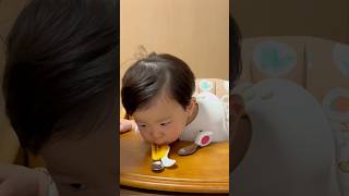 🍎むぎちゃん、あご乗せスタイルで納豆ご飯！（1y5m13d No.4）