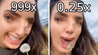 Oh look a dandelion, but it's 0.25x vs 999x speed