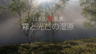 日本の美風景　霧と光芒の湿原・４K