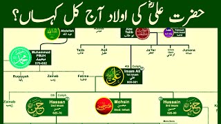 Family Tree of Hazrat Ali | The Most Influential Muslim of All Time | Part 01 | Nasheed  @calmislam