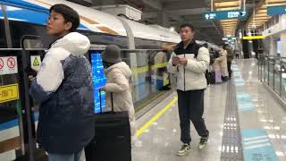 Shanghai Airport Link Line Experience \u0026 Detailed Guide: \