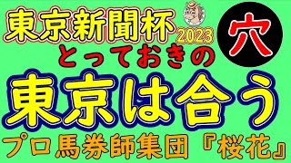 東京新聞杯2023とっておきの穴馬は東京の舞台が合う！人気２強の構成となりナミュールとジャスティンカフェはコース形態が合うのか？穴馬で東京コースが合う馬がいる！？