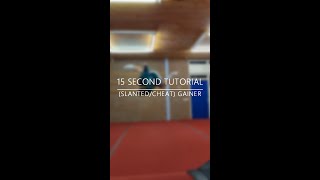 15 SECOND TUTORIAL: GAINER