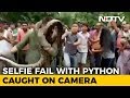 Selfie With Python Goes Wrong: Caught on Camera