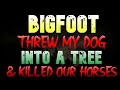 BIGFOOT THREW MY DOG INTO A TREE AND KILLED OUR HORSES