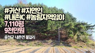 홍천땅/﻿홍천군 내촌면 물걸리 - 내촌IC 농림지역 임야/임업용산지/7,110평/9천만원