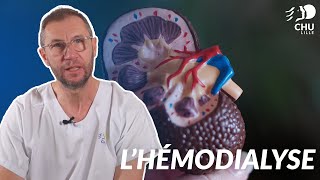 L’hémodialyse