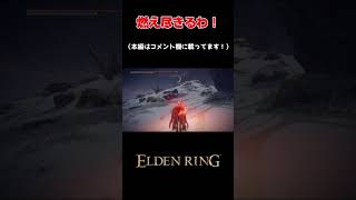 荒々しい防寒対策！！！　 #ゲーム実況  #死にゲー    #eldenring #shorts #ps5