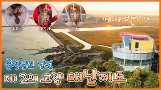 대난지도, 제2의 고향이 되다✨ - 충남 당진 [6시N내고향] / KBS 방송