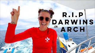 RIP Darwins Arch + Hammerheads GALORE! [Part 6]