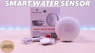 Wasserstein Wifi Smart Water Sensor - Full Review \u0026 Demo