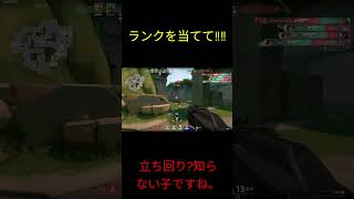 ランクを当てれるかな？答えは概要欄！　 #shorts #short #valorant #valorantclips #ヴァロラント #ランク  #ranked