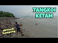 #EP970 Tangkul Ketam