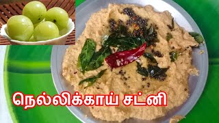 இட்லி தோசைக்கு இந்த சட்னி தான் பெஸ்ட் | Nellikai Chutney in Tamil | Amla Chutney Recipe | Gooseberry