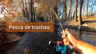 PESCANDO en un CANAL de regadío / PESCA CON VINILOS/ Pesca con SEÑUELOS / Trout Fishing