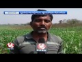 waragal farmers in distress with low paddy yield rabi season v6 news