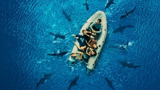 " خمس أشخاص بيعيشوا فى قارب نجاه لمدة 5 أيام وسط أسماك القرش بدون أكل وشرب  "ملخص فيلم