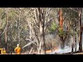 Qld govt accused of failing to meet hazard reduction burn targets