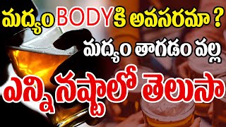 మద్యం BODY కి అవసరమా ? మద్యం తాగడం వల్ల ఎన్ని నష్టాలో తెలుసా | CVR Health