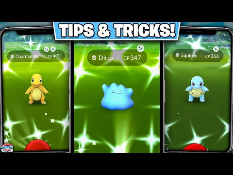 Top Tips for Adamant Time Event in Pokémon GO: Boosted Shiny Rates & Ditto Disguises!”