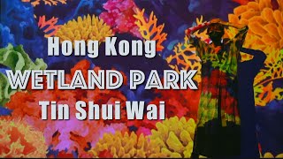 都会のオアシス・香港湿地公園｜Hong Kong Wetland Park｜香港濕地公園【CinematicVlog】