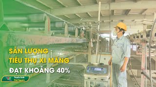 Sản lượng tiêu thụ xi măng đạt khoảng 40%| Thái Nguyên TV