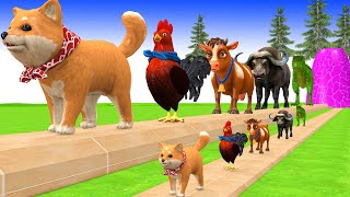 Paint Animals Cow,Chicken,Dog,T-Rex,Buffalo Fountain Crossing Transformation Cartoon