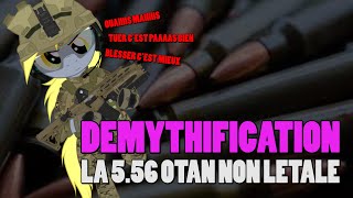 DEMYTHIFICATION DE LA 5.56