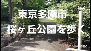 東京多摩市　桜ヶ丘公園を歩く